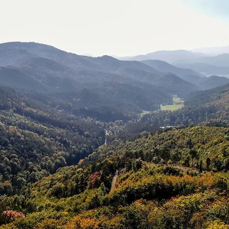 Apartmán In Niederoesterreich Mit 3 Mitten Im Wald