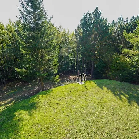 In Niederoesterreich Mit 3 Mitten Im Wald Apartament Feuchtenbach