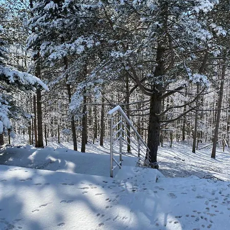 In Niederoesterreich Mit 3 Mitten Im Wald * Feuchtenbach