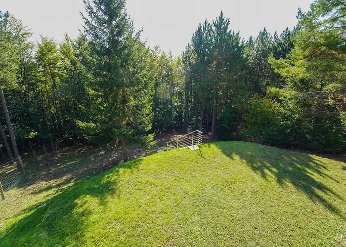 In Niederoesterreich Mit 3 Mitten Im Wald Daire Feuchtenbach