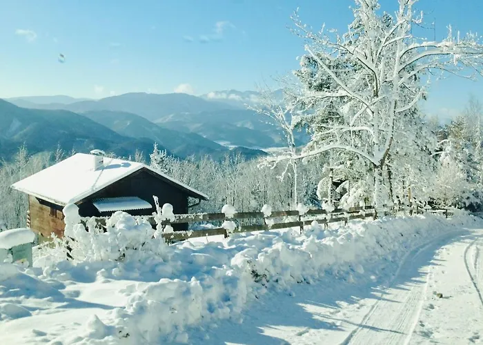 Daire In Niederoesterreich Mit 3 Mitten Im Wald