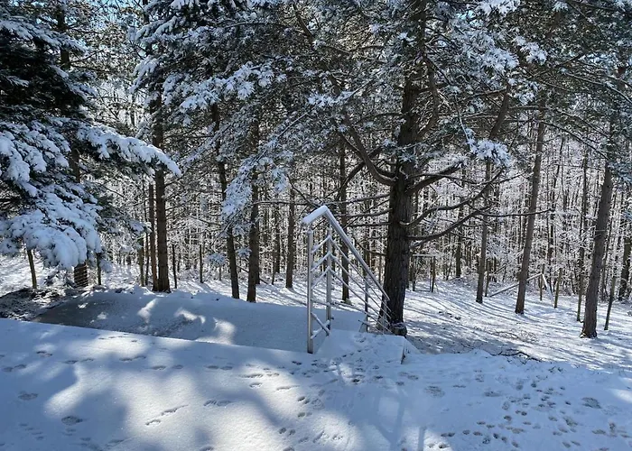 In Niederoesterreich Mit 3 Mitten Im Wald * Feuchtenbach